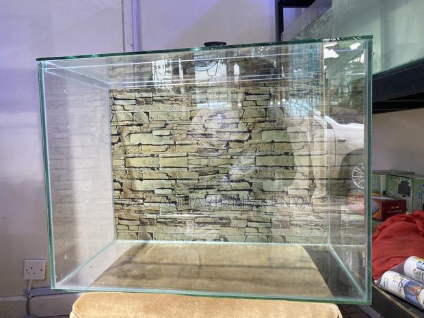 Medium Aquarium – Perfect Size for Stylish Setups - main view