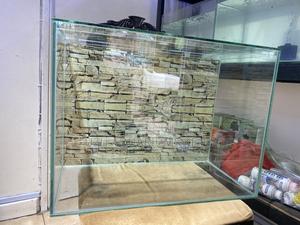 Upgrade Your Space With a Medium-Sized Aquarium - thumbnail 2