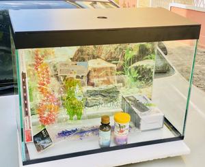 Elegant Medium Aquarium for Fish Plant Lovers - thumbnail 2