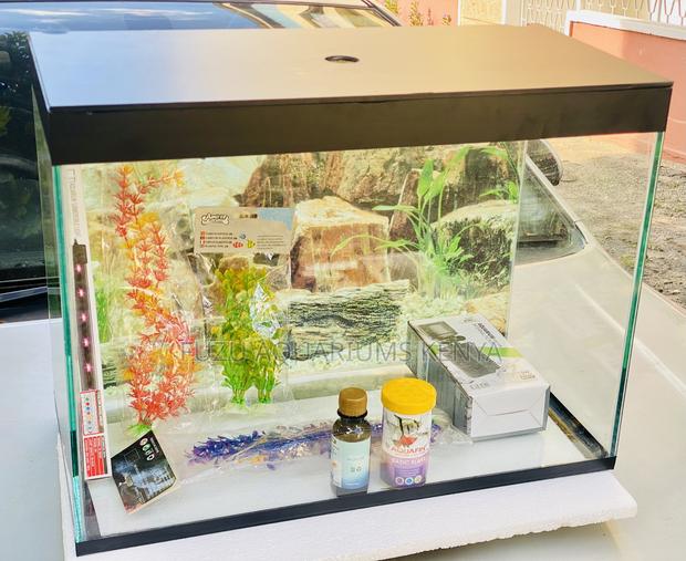 Elegant Medium Aquarium for Fish Plant Lovers - main view