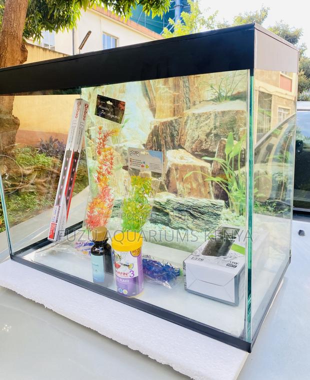 Medium Aquarium – Ideal for Beginners Hobbyists - main view