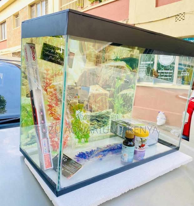 Spacious Yet Compact – Medium Fish Aquarium - main view