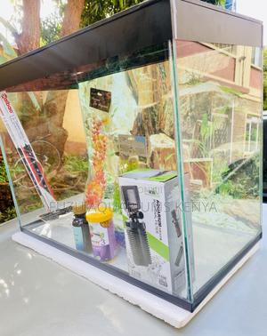 Durable Sleek Medium Aquarium for Home or Office - thumbnail 2