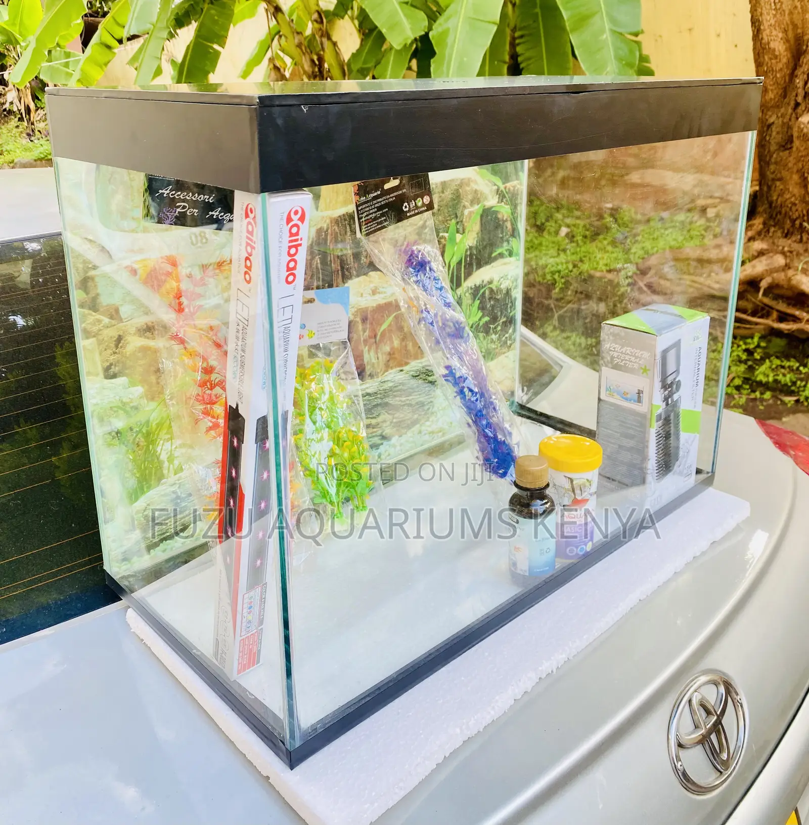 Create an Underwater World With a Medium Aquarium
