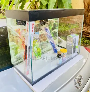 Create an Underwater World With a Medium Aquarium