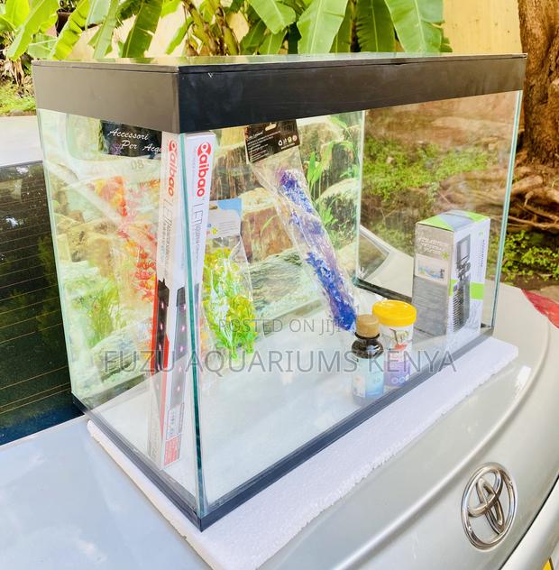 Create an Underwater World With a Medium Aquarium - main view
