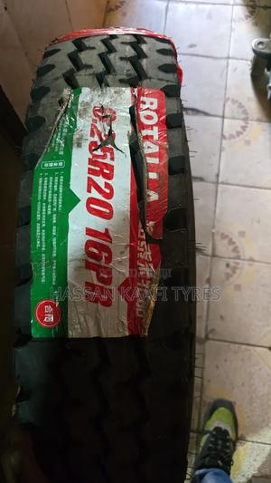 825r20 Rotala - main view