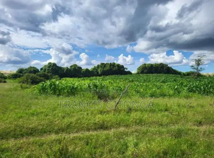 Kitengela Enkasiti Area - Next to Riverine 4 Quarte Acres