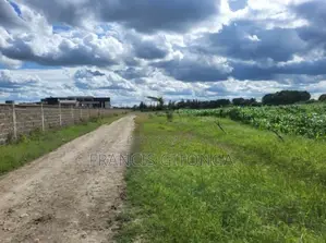Kitengela Enkasiti Area - Next to Riverine 4 Quarte Acres