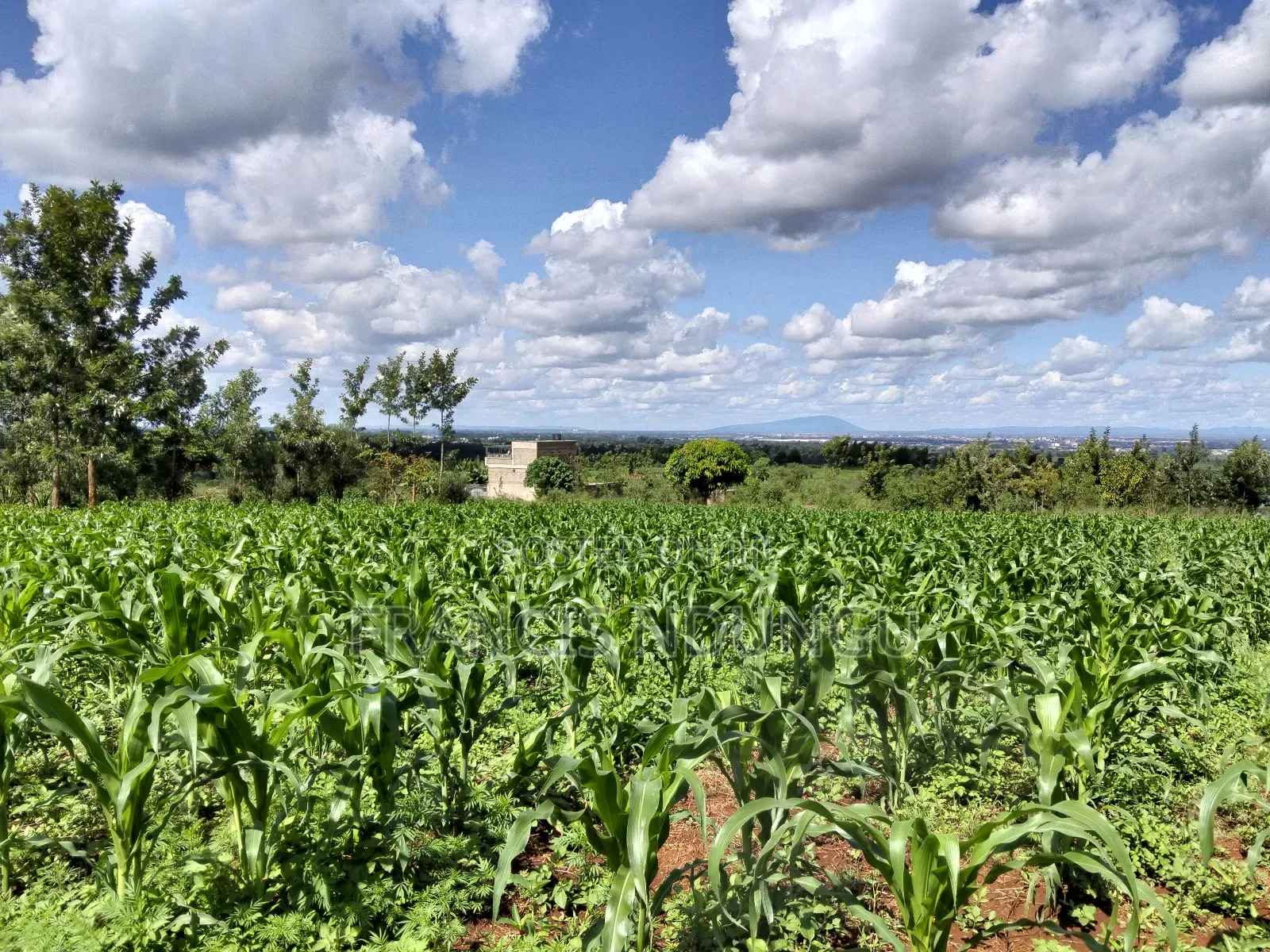 Residential Plot Matropi Estate Kiambu Town.