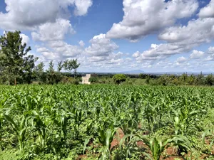 Residential Plot Matropi Estate Kiambu Town.