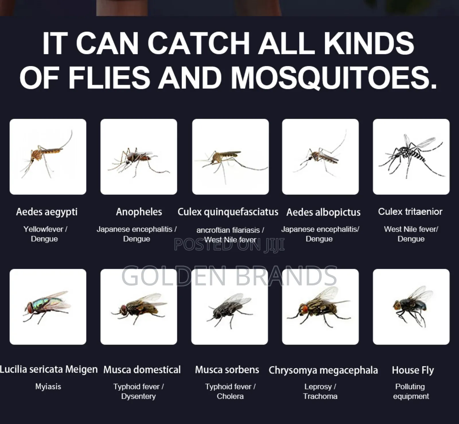 Mosquito Killer Uv Lamp