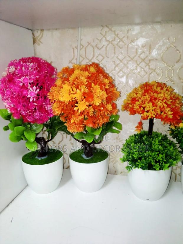 Pink Orange Bonsai Potted Flowers