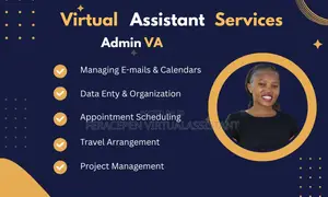 Professional Virtual Assistant Digital Marketer