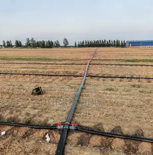 Rainhose Agricultural Micro Spray Irrigation