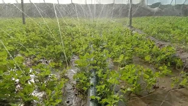 Rainhose Agricultural Micro Spray Irrigation - thumbnail 3