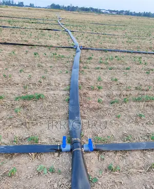 Rainhose Agricultural Micro Spray Irrigation