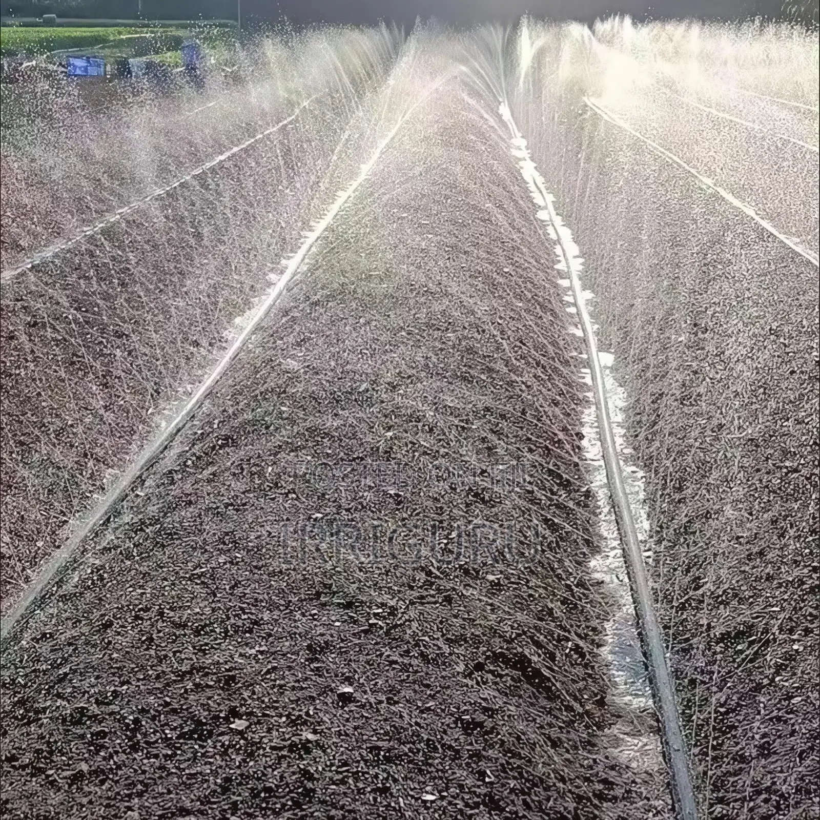 Rainhose Agricultural Micro Spray Irrigation