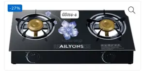 Elegant and Modern Aesthetic Ailyons 2 Burner Cooker