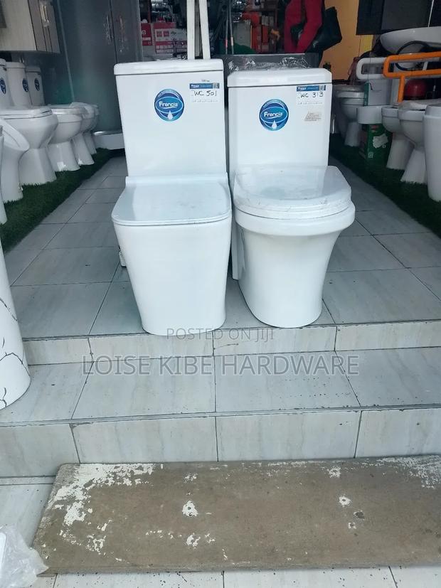 Wc Toilet Francia 501 and 313 Available