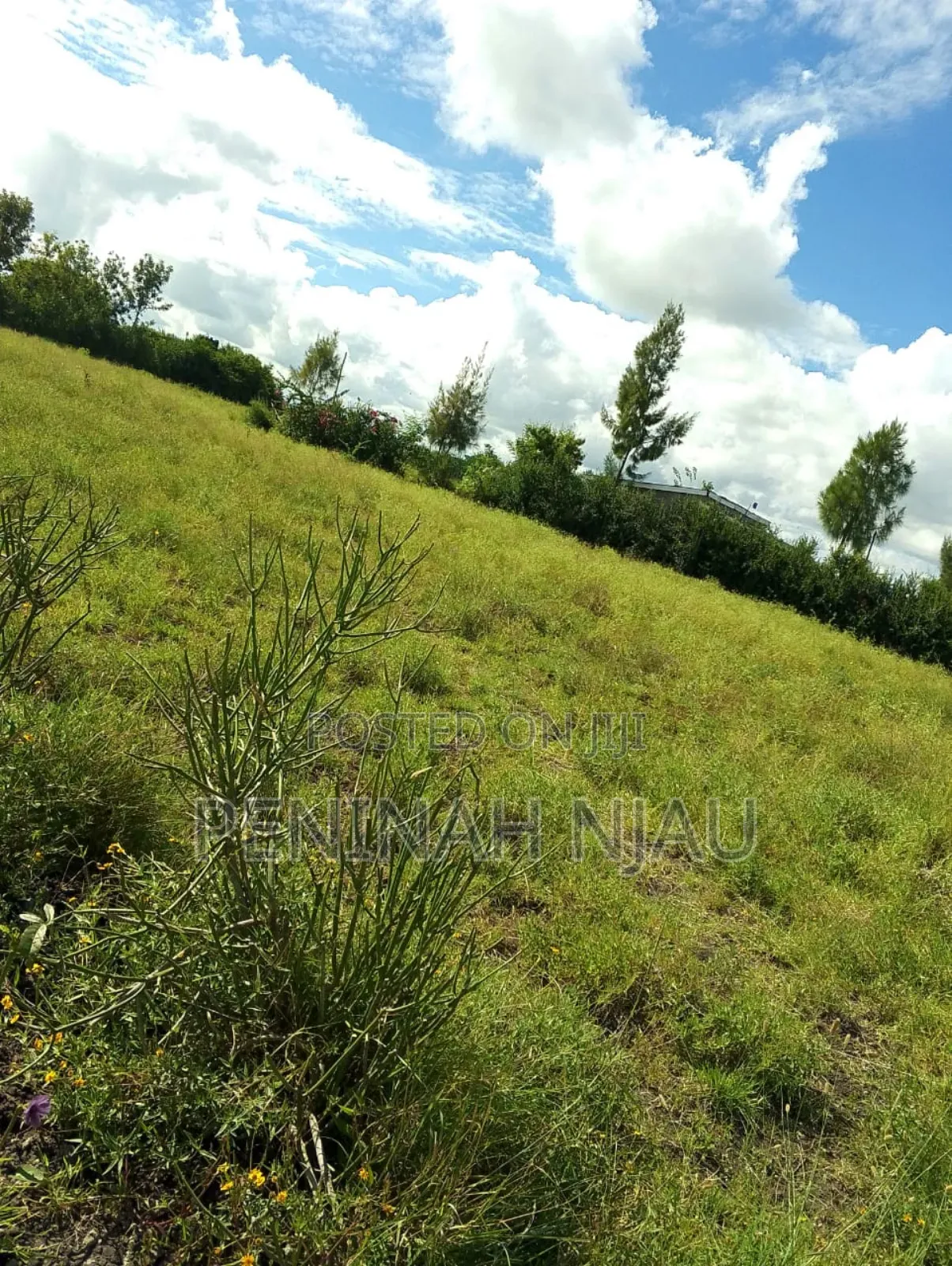 Ruai Prime Residential Plot