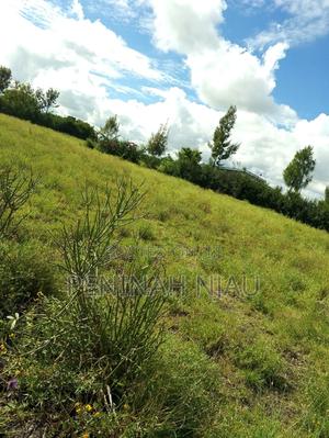 Ruai Prime Residential Plot - thumbnail 2