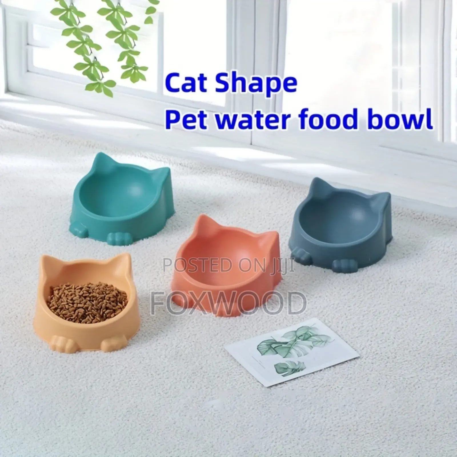 Pet Food Bowls, Likely for Cats or Small Dogs,