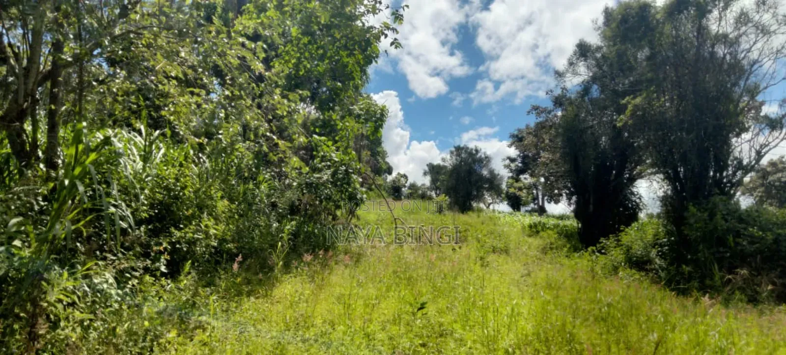 One Acre for Sale in Kirinyaga Diffadhas