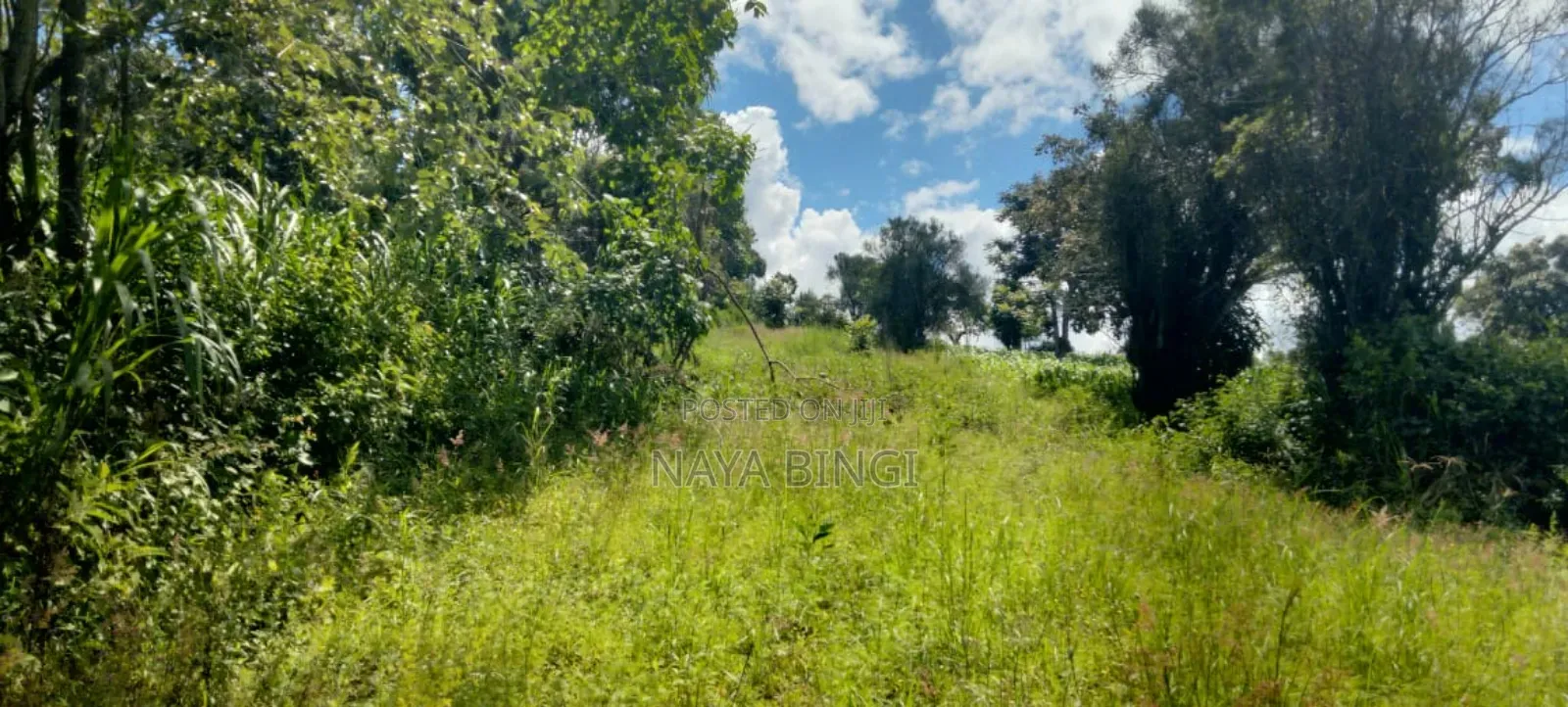 One Acre for Sale in Kirinyaga Diffadhas