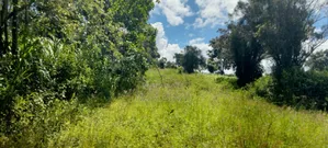 One Acre for Sale in Kirinyaga Diffadhas