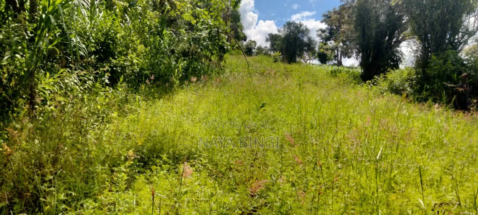 One Acre for Sale in Kirinyaga Diffadhas