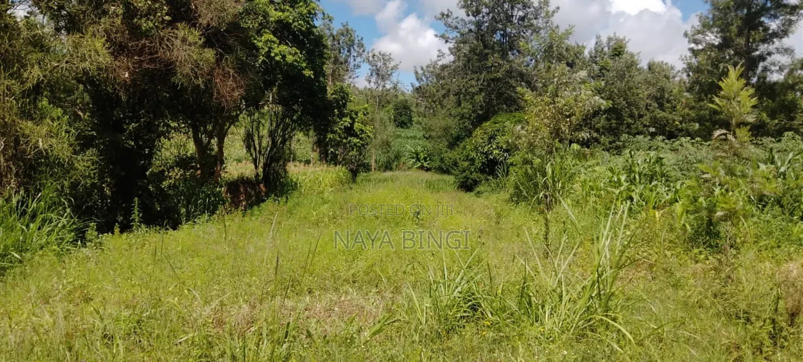 One Acre for Sale in Kirinyaga Diffadhas