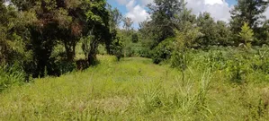 One Acre for Sale in Kirinyaga Diffadhas