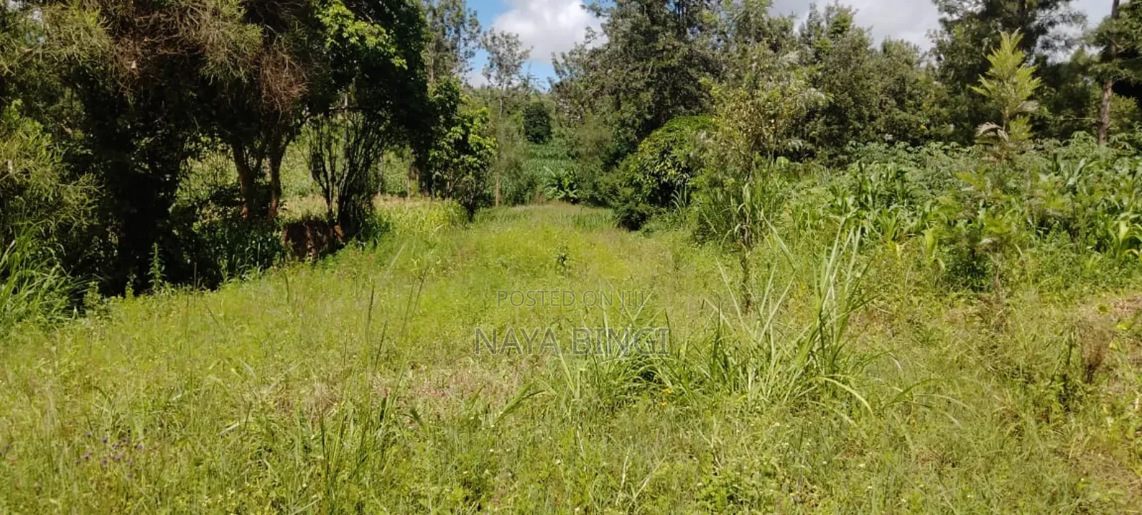 One Acre for Sale in Kirinyaga Diffadhas