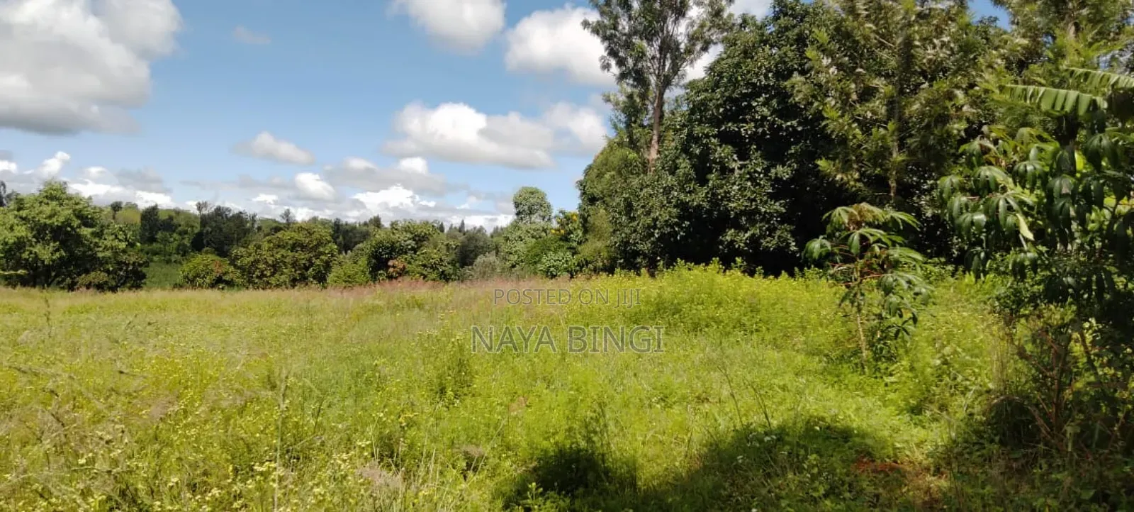 One Acre for Sale in Kirinyaga Diffadhas