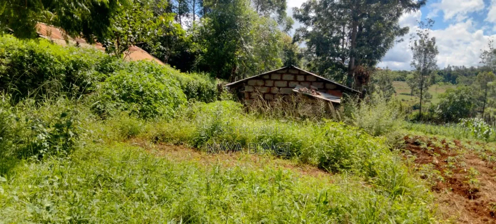 One Acre for Sale in Kirinyaga Diffadhas