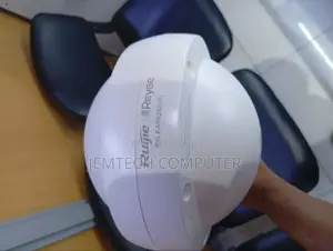 Rg-Rap6202(G) Ac1300 Outdoor Omni-Directional Access Point