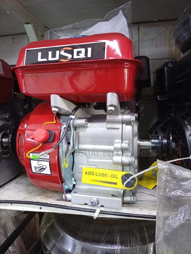 Best Quality 8 0hp Lusqi Petrol Engine