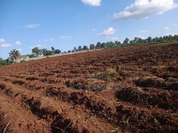 Prime 50-Acre Parcel for Sale – Fronting Gatanga Road - thumbnail 4