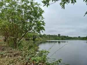 Prime 50-Acre Parcel for Sale – Fronting Gatanga Road - thumbnail 2