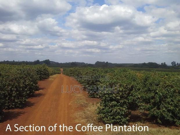 Prime 50-Acre Parcel for Sale – Fronting Gatanga Road - thumbnail 3