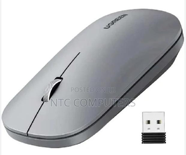 Ugreen Portable Wireless Mouse (Gray)