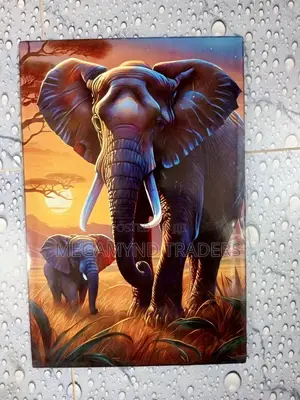 Wall Art Decor 40cm *60cm/Home Decor