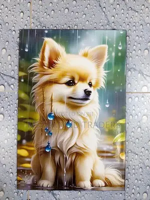 Wall Art Decor 40cm *60cm/Home Decor