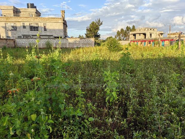 50by100 Plot for Sale in Gikambura Kikuyu Kiambu County. - thumbnail 4