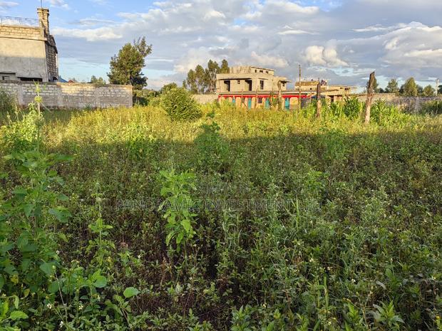 50by100 Plot for Sale in Gikambura Kikuyu Kiambu County. - thumbnail 5