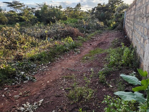 50by100 Plot for Sale in Gikambura Kikuyu Kiambu County. - thumbnail 6