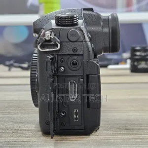 Panasonic Lumix Gh5 Mirrorless Camera