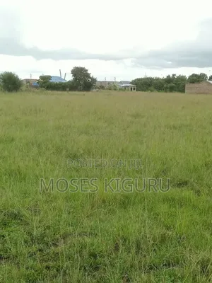 Muthaara 40x80 Prime Plots.