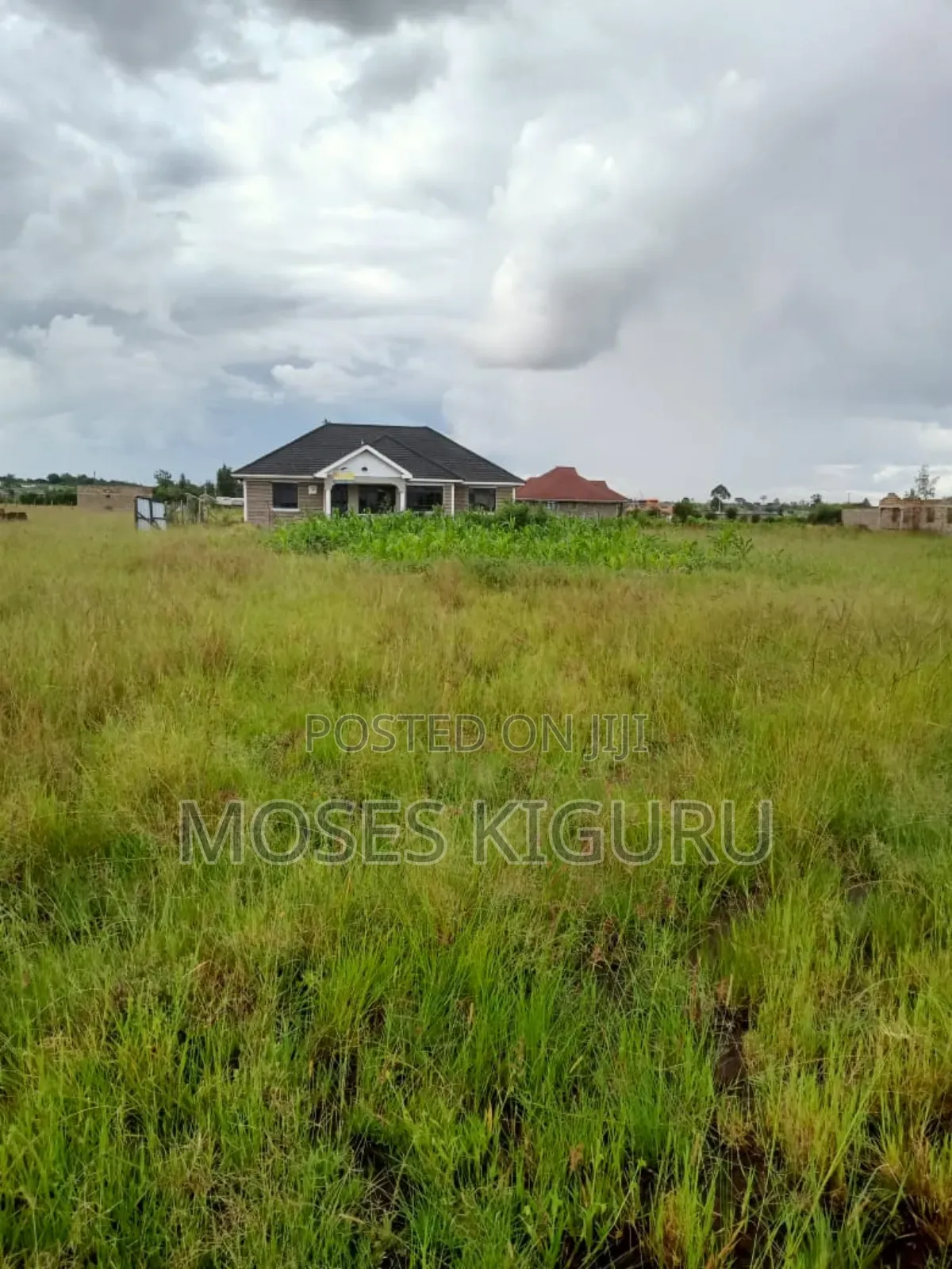 Muthaara 40x80 Prime Plots.